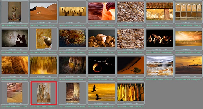 F�d�ration Photographique de France