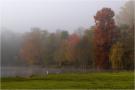 ./135/imgw/7_CB02638_Automne_1.jpg