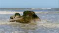 ./147/imgw/18_Varengeville_sur_Mer_P1012305_2025_04_16.jpg