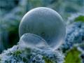 ./147/imgw/9_2025_01_04_Bulles_P1011411_DxO.jpg